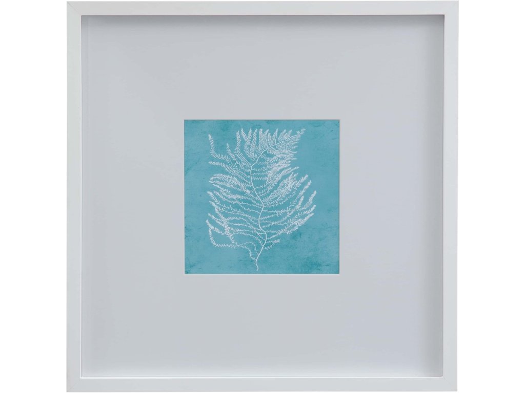 White Coral on Blue III