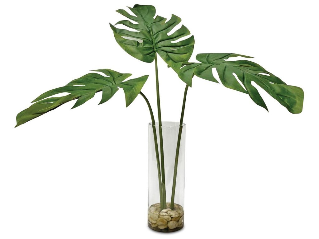Ibero Split Leaf Palm