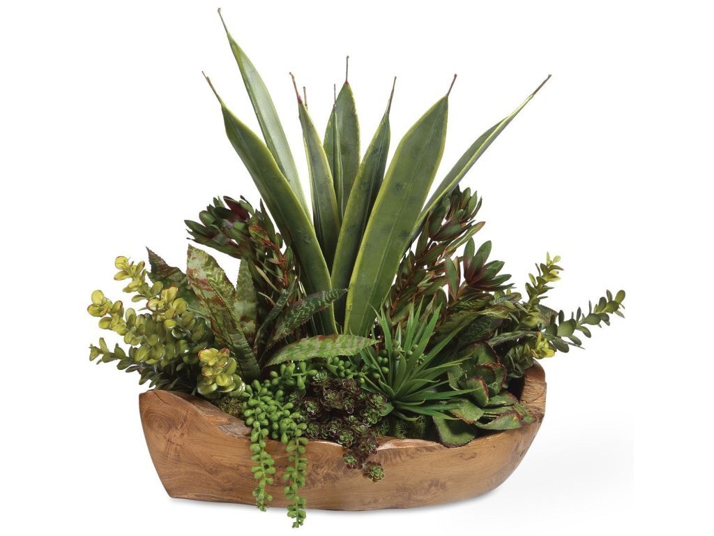 Salar Succulents