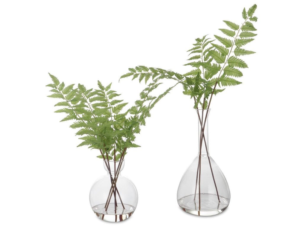Country Ferns, S/2