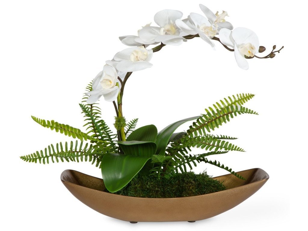 Transcend Orchid