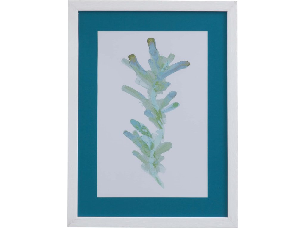 Watercolor Seaweed I