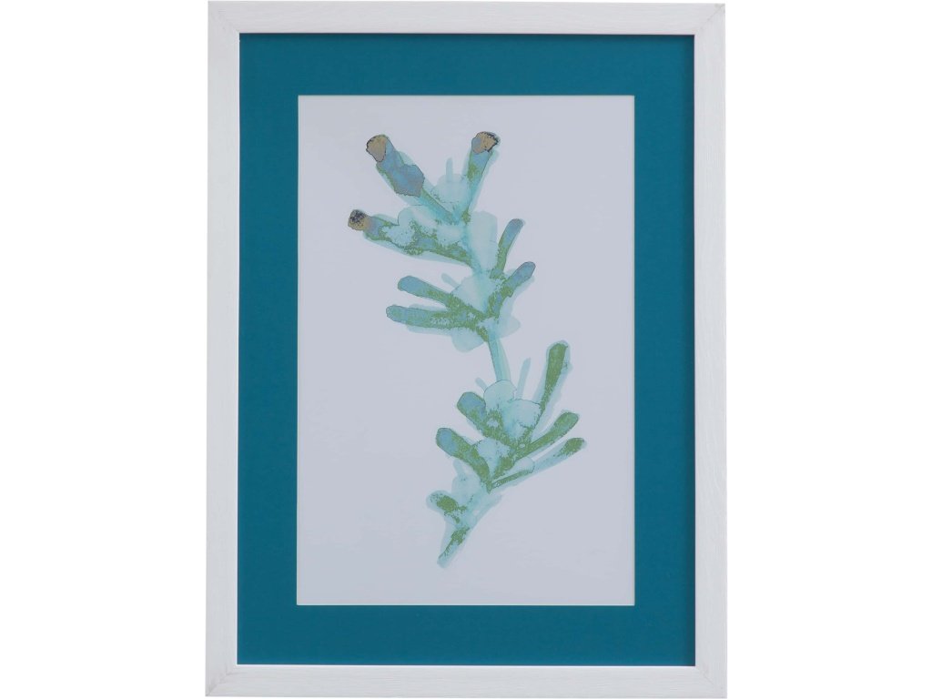 Watercolor Seaweed II